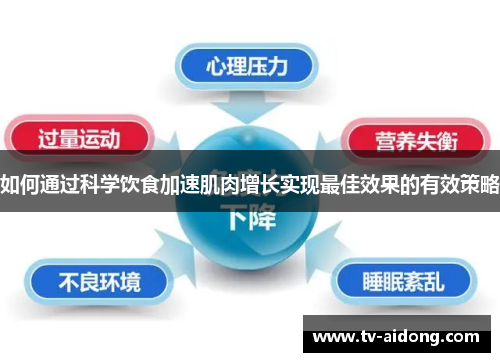 如何通过科学饮食加速肌肉增长实现最佳效果的有效策略